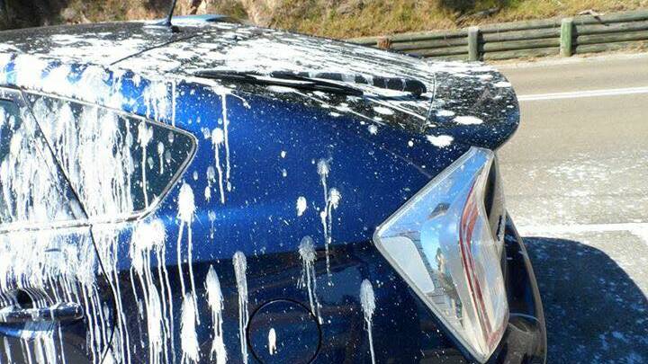 Paint job or just a pelican job? Max Favelle shared this snap with us of a car parked in the Eurobodalla.