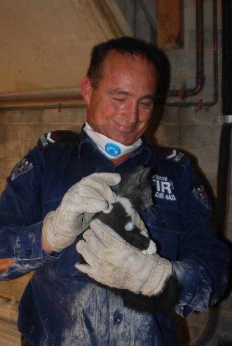 Not a paw effort: Firefighters cut brick wall to save kitten | PHOTOS
