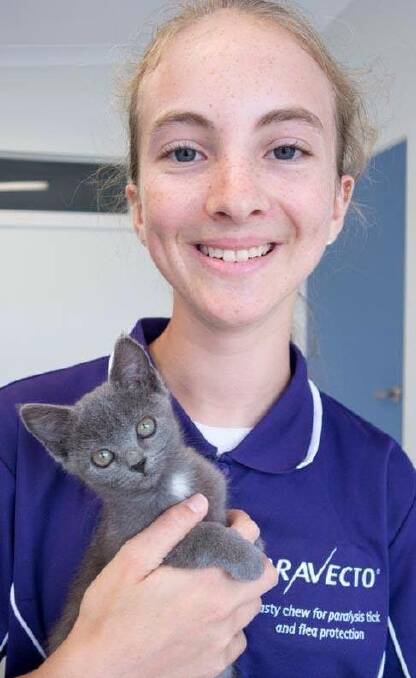PURR-FECT: Montague Vets' youngest member of staff, Tess Poyner. Montague Vets is a finalists for Excellence in Small or Home Based Business. Photo: Montague Vets