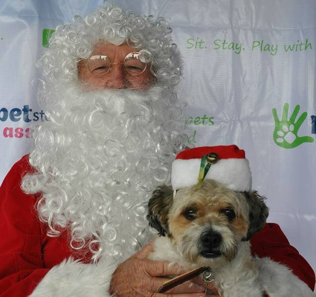 Christmas is just around the corner. Capture the season with a pet Santa photo this weekend and help the Eurobodalla branch of the RSPCA at the same time.