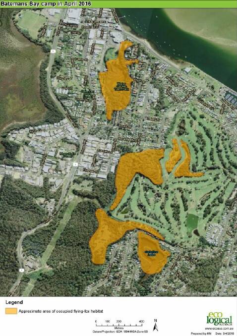 Known occupied Flying Fox habitats in Batemans Bay and surrounding areas are marked in yellow. 
