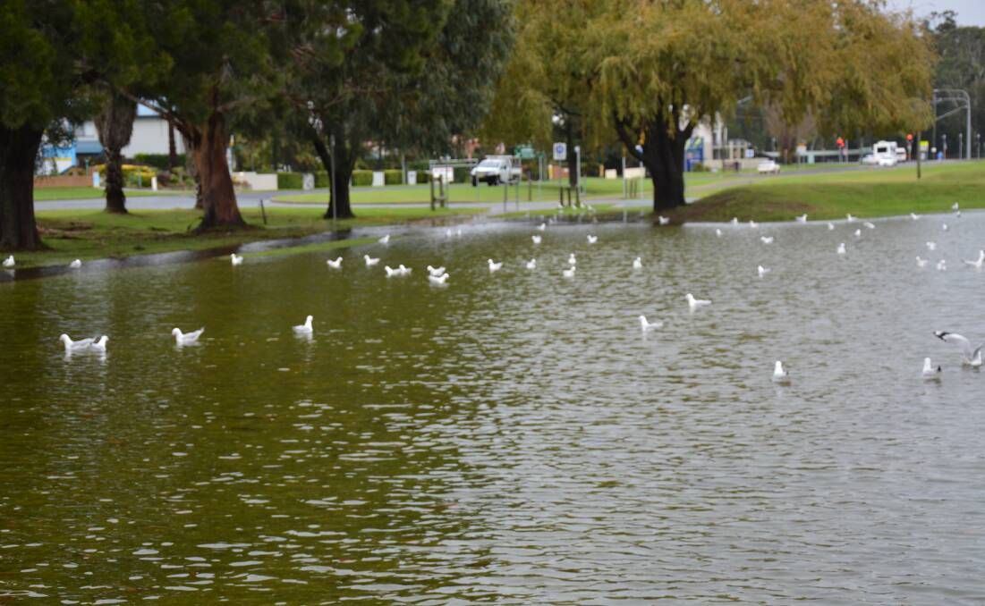 POND: Corrigans Beach Reserve became a bird pond on Monday after several days of torrential rain. 