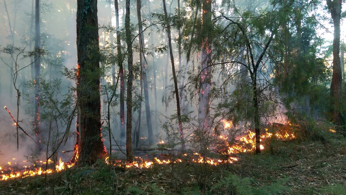 A controlled burn flared up in strong winds in Durras on Monday, May 23. Photo: John Perkins.