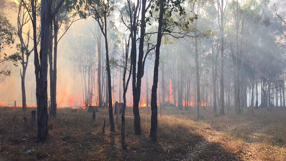 Fire and Rescue crews were called to a one-hectare fire south of Moruya on Monday. Source: Facebook.