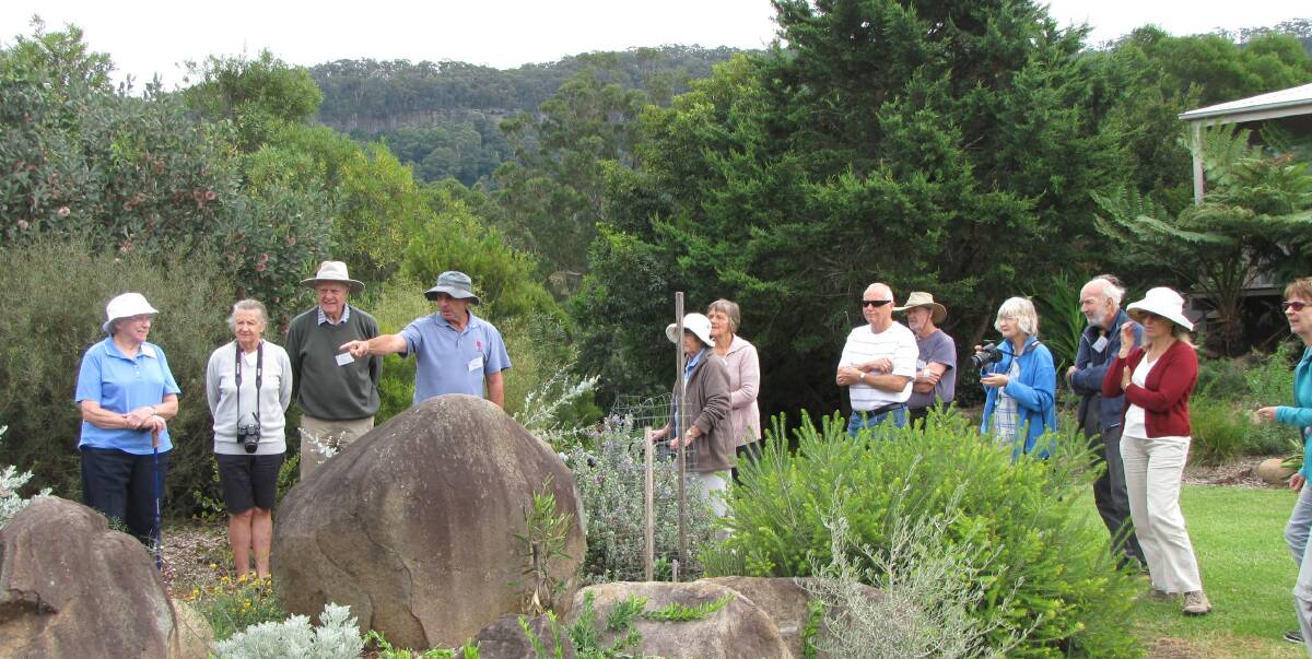 The naturally occurring rock garden discovered under lush growth of Kikuyu in the extensive garden of Catriona and Phil, whose property is located on the edge of the escarpment overlooking Lake Conjola and Milton. 