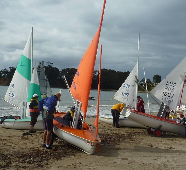 RIGGED AND READY: Hansa dinghies competing in division 9 of Batemans Bay Sailing Club’s Anzac Regatta on Corrigans Beach before the first race on April 23.
