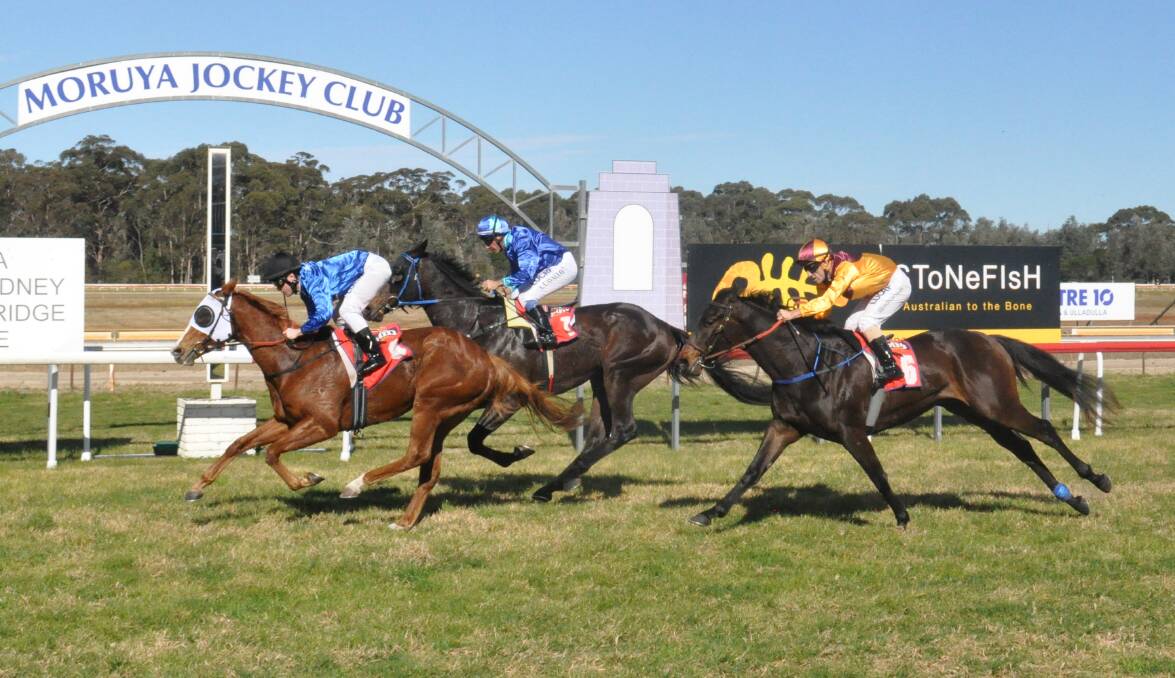 FIRST PAST THE POST: Colbey Hill's Jorgeus takes out the Maiden Handicap at the South Coast Registered Clubs Day in Moruya.