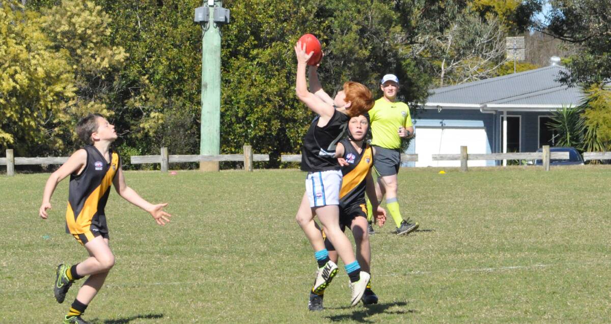 SAFE HANDS: Seb Giri takes a mark for the Seahawks against Bomaderry on the weekend. Photo: Courtney Ward.