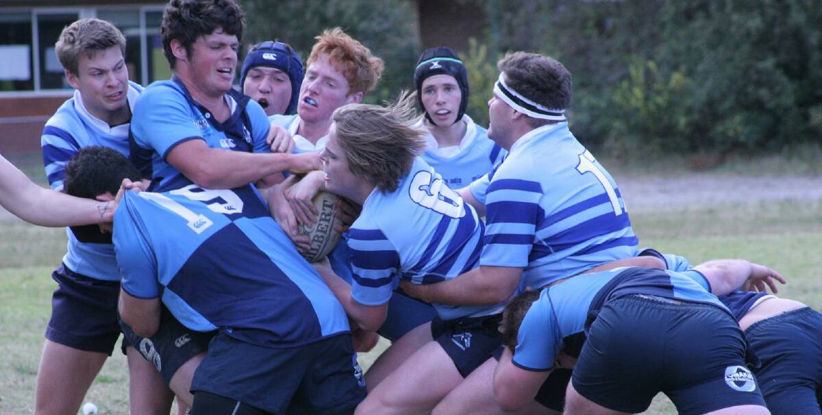 TENSE BATTLE: Dolphins' Billy Stainer (top left) attempts to wrestle the ball away from his Marist opponent on the weekend. Marist won the match 31-17.