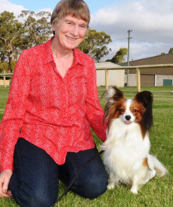 Second place: Susan Matthews and her Papillion, Teddy, had great success at the recent State Obedience titles conducted in Canberra.