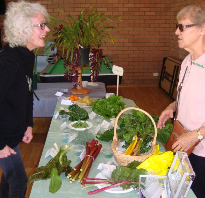 Grow your own: Batemans Bay Garden Club vice-president Ann Kirkness discusses the produce table with Marissa Kemp at the club's August meeting.