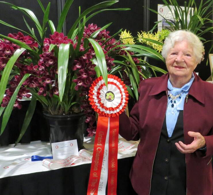 Age no barrier: Grand Champion orchid at the Batemans Bay Orchid Society's Winter Show went to 87-year-old Maria Kacarovski.