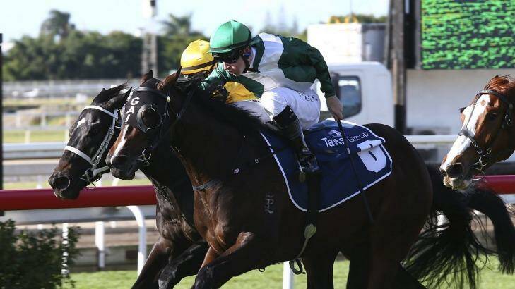 Winning combination: Tommy Berry rides Almalad (green) to victory in Brisbane in June. Photo: Tertius Pickard