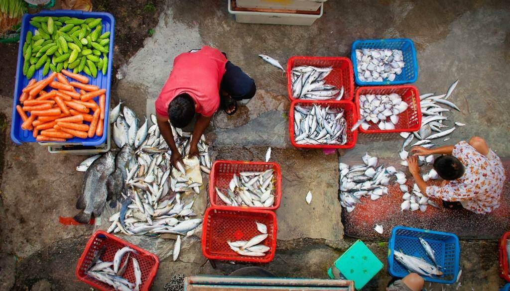 Catch of the day: Fishmongers prepare their produce at a market in Penang, Malaysia.