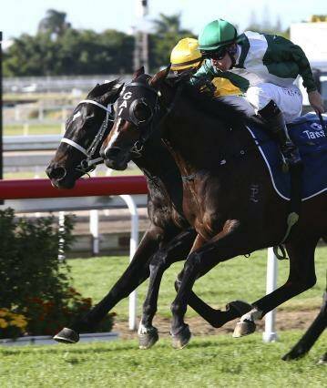 Winning combination: Tommy Berry rides Almalad (green) to victory in Brisbane in June. Photo: Tertius Pickard