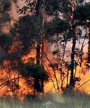 Australia's fire-fighting resources may be stretched this summer with abnormally warm and dry weather ahead.