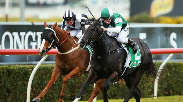 Early winner: Josh Parr boots home Inkling for Team Snowden in the first at Randwick on Saturday. Photo: Brendon Thorne/Getty Images