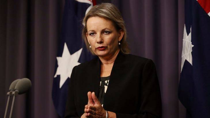 ""The review shows that fragmentation in the system is seeing far too many people still slipping through the cracks": Sussan Ley. Photo: Andrew Meares