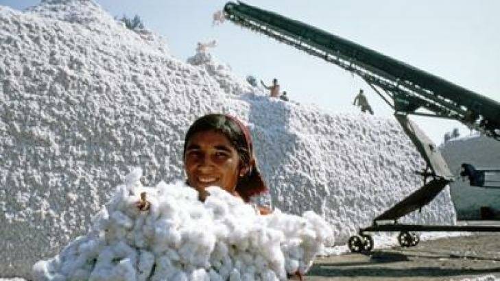 Cotton crop worker in Uzbekistan. Photo: Sovfoto/UIG via Getty Images