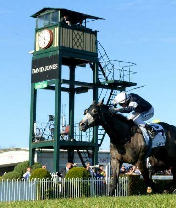 Fawkner, ridden by Nicholas Hall, wins the Caulfield Cup on 2013. Photo: Pat Scala