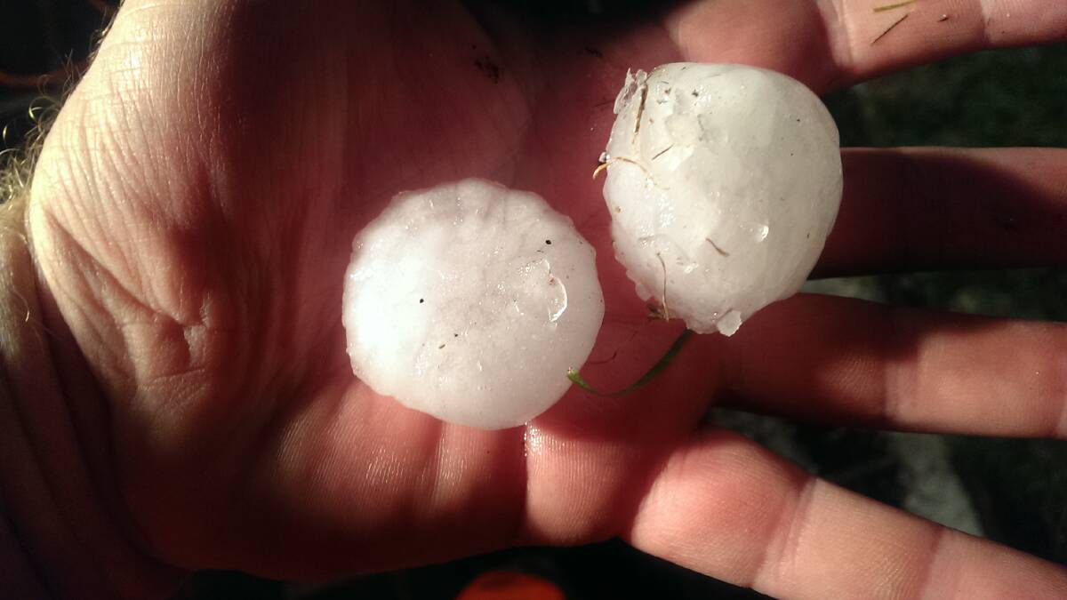 Moruya SES sent this picture of hail stones from Potato Point on Saturday, April 25. Crews said residents reported stones the size of cricket balls had fallen earlier in the day.