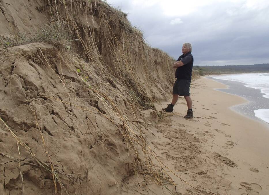 South Durras resident John Perkins inspects the beach "cliffs" formed during coastal erosion.