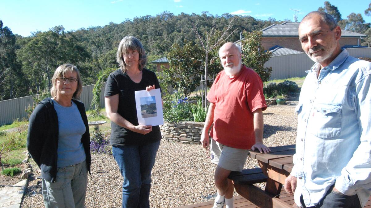 TOWER TROUBLE: North Batemans Bay residents Mary Randall, Roz and Ralph Holmes and Richard Wadani are concerned about the effects of a proposed tower. 
