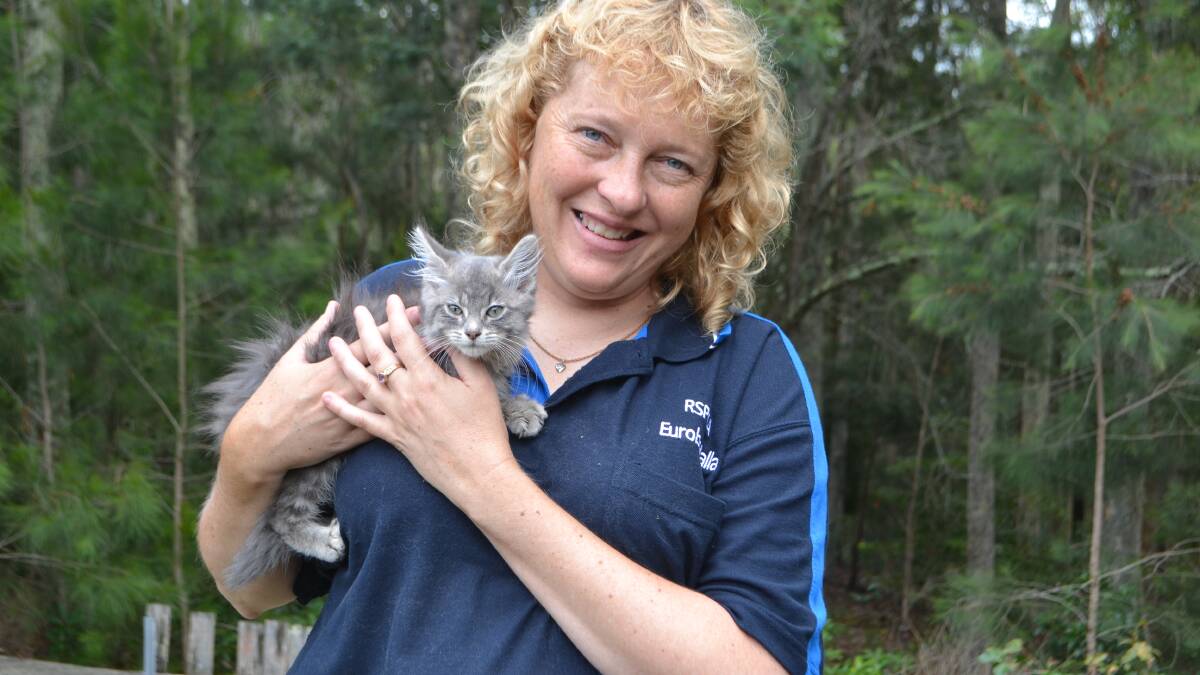 FURRY FRIEND: Moruya resident and Eurobodalla RSPCA volunteer Leanne Manning and a kitten that has a great new home lined up.