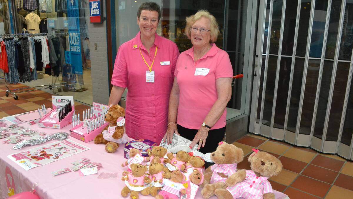 PINK POWER: Eurobodalla Cancer Council's Diana Skelton and Jan Tonks with irresistible Pink Ribbon Day merchandise at the Village Centre on Friday.