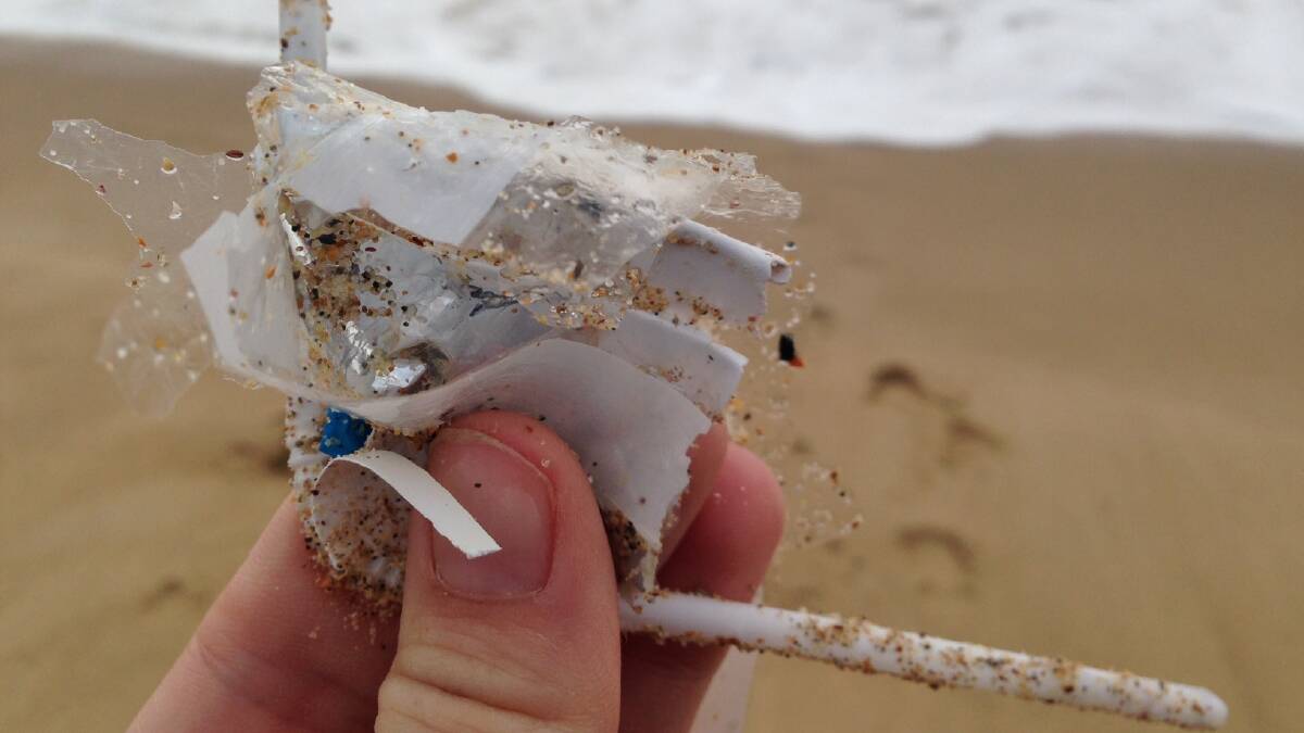 PICK IT UP: Residents in the 2537 and 2536 postcodes logged 5613 pieces of marine debris on the Tangaroa Blue website to October 15.