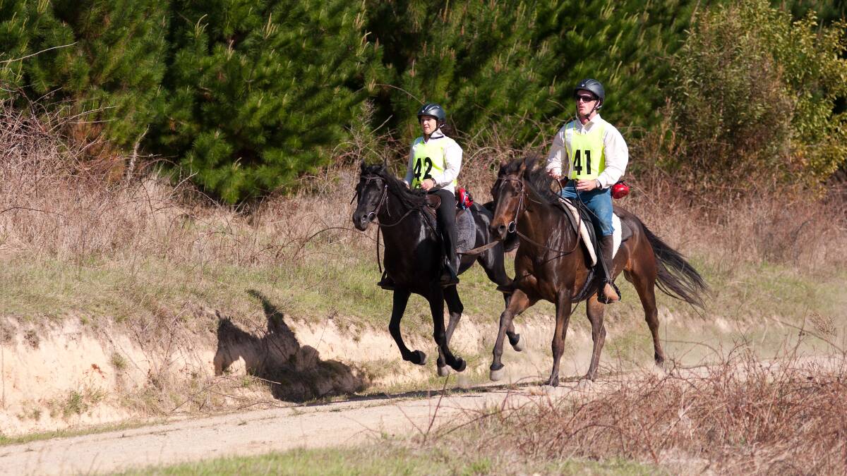 BY NUMBERS: Jenny Shepheard and Evan Drain Shepheard competing in a recent endurance event.