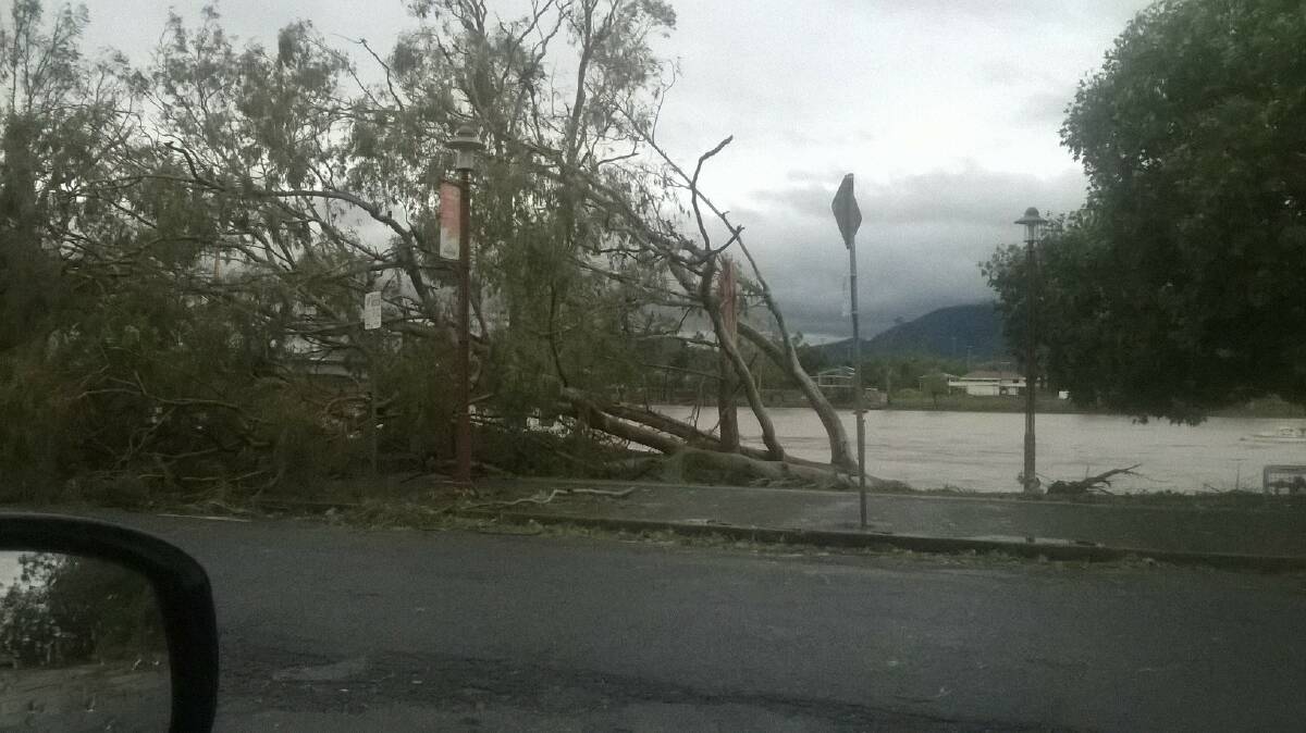 WHITE'S VIEW: The view from the White family's car of Cyclone Marcia damage. The former Batemans Bay family has described frightening scenes as the cyclone hit Queensland.