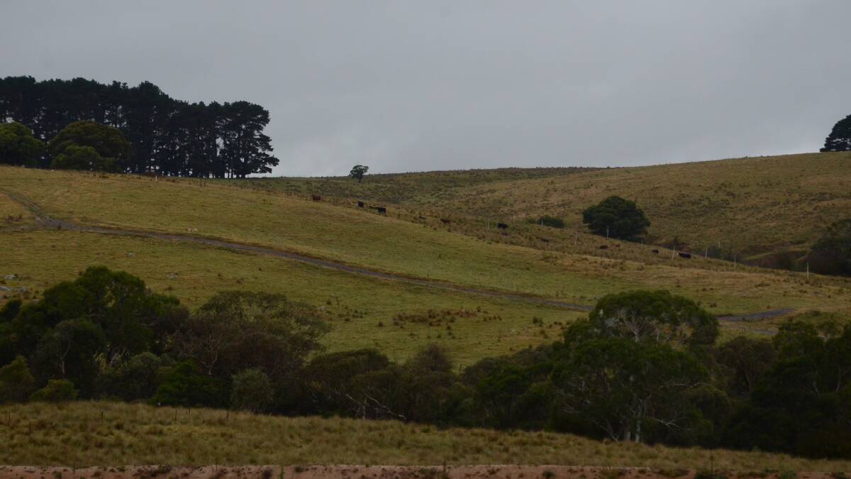 Eurobodalla Shire Council general manager Catherine Dale says the site of the tailings storage dam at the Dargues Gold Mine, pictured, in the side of a hill is inappropriate in a draft submission to NSW Planning.