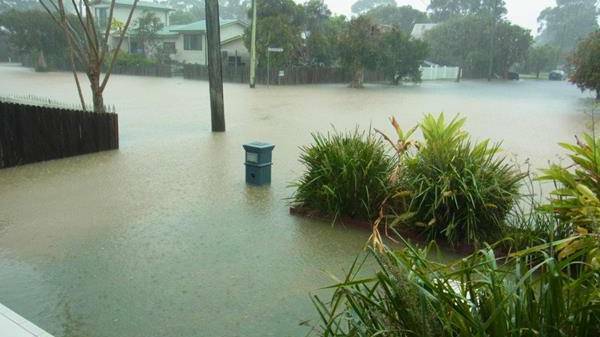 Gabe Eichler who lives in Lynch Street on the Narooma Flat reports the water was rising quickly and at 8.30am was saying one more inch and her house would start to go under.
