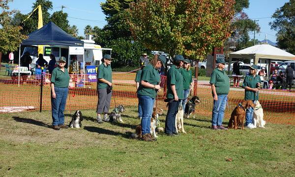 Eurobodalla Canine Club’s demonstration team is ready to go at the RSPCA's Million Paws Walk in Moruya.