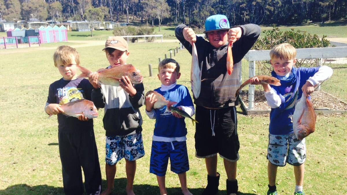 Fishing catches from the Narooma area