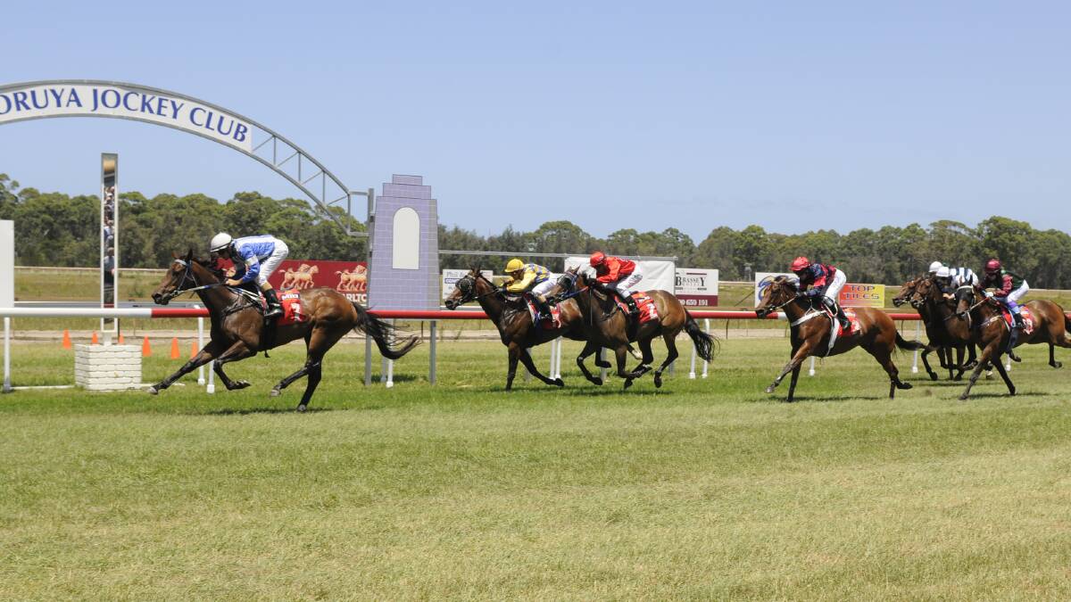 Macks Swiftly takes home the second race on Narooma Cup day at Moruya Racecourse. PHOTO: Bradley Photographers. 