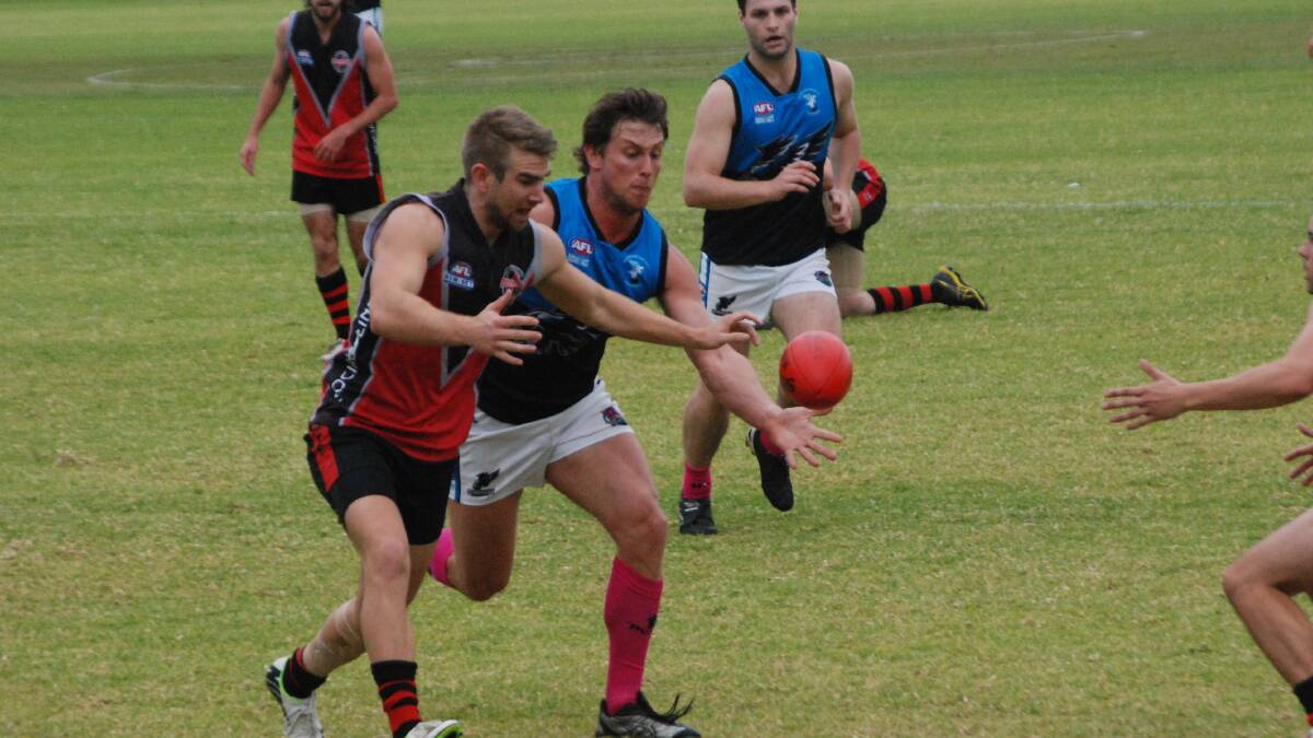 CHASING THE FLAG: Bay Seahawks’ Shaun Green, pictured playing against Molonglo in May, chases a loose ball. 