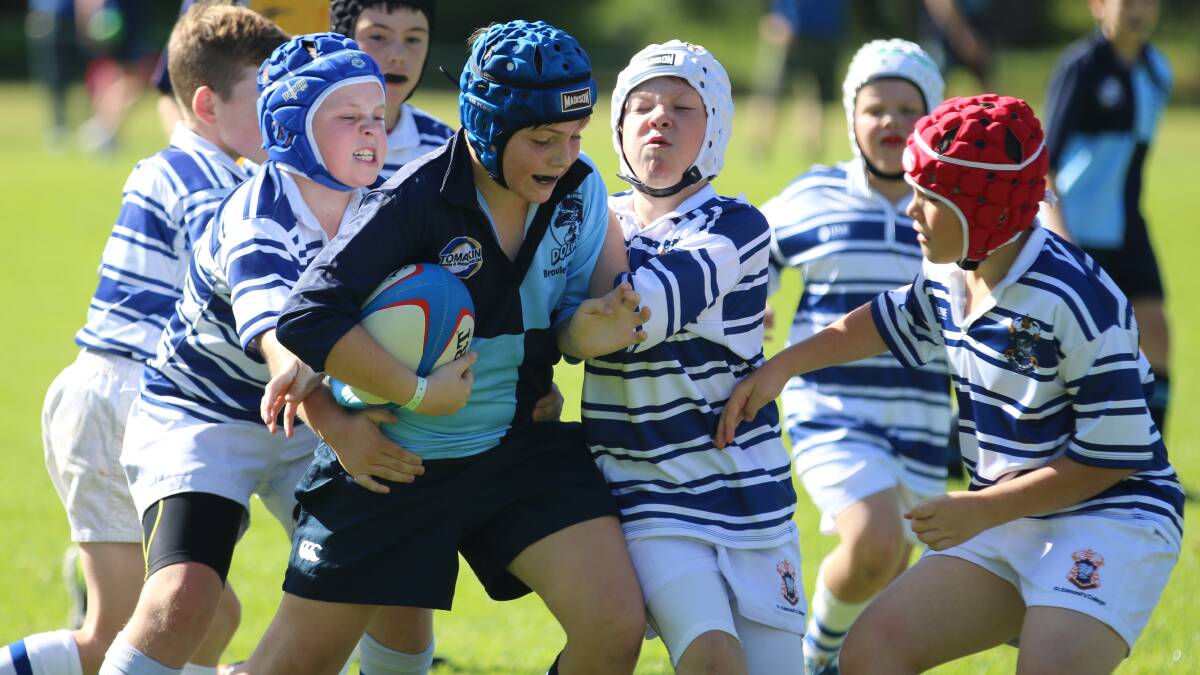 HIT UP: Broulee Dolphins’ under 10s player Daniel Wall tries to barge through a number of opponents last Saturday. 
