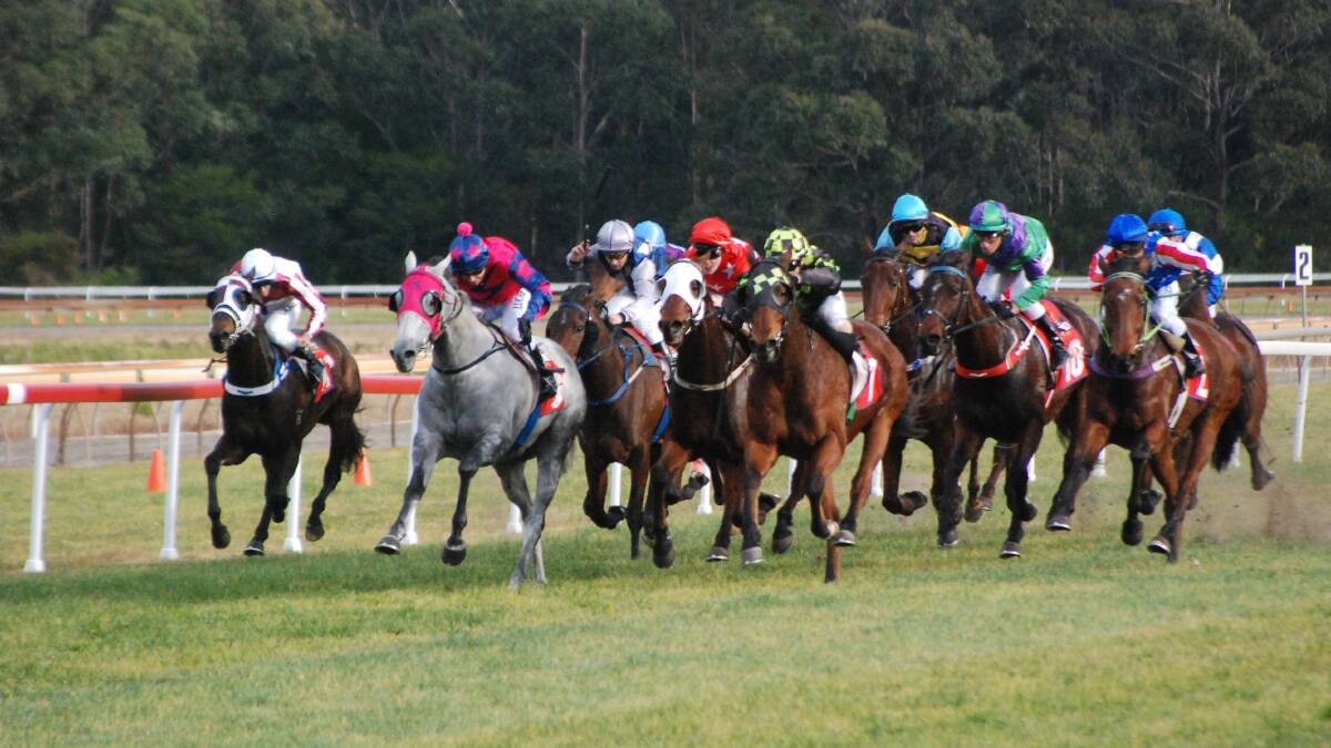 IN THE STRAIGHT: Local horses have filled out the fields for Moruya Jockey Club’s Melbourne Cup day meeting. 
