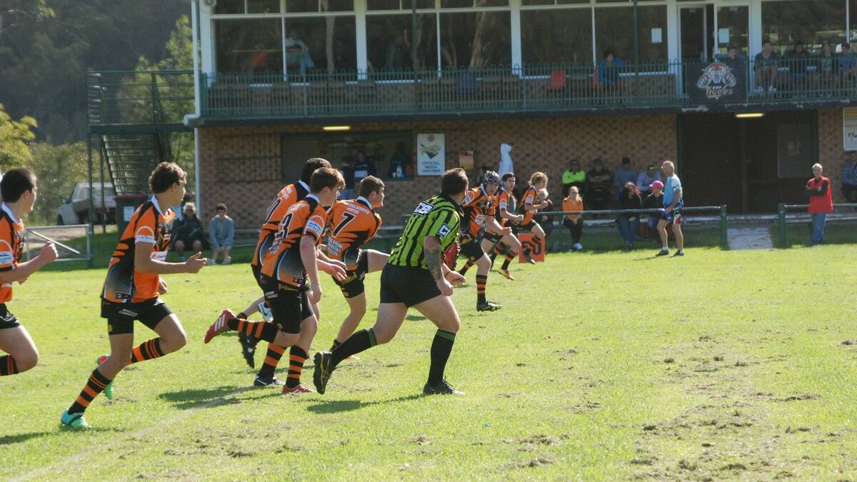 The Bay Tigers lost to the Kiama Knights 26-16 on Saturday at Mackay Park. 