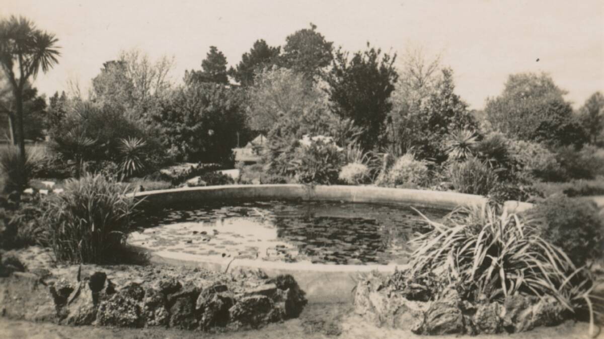 Colac Botanic Garden lilly pond. 
