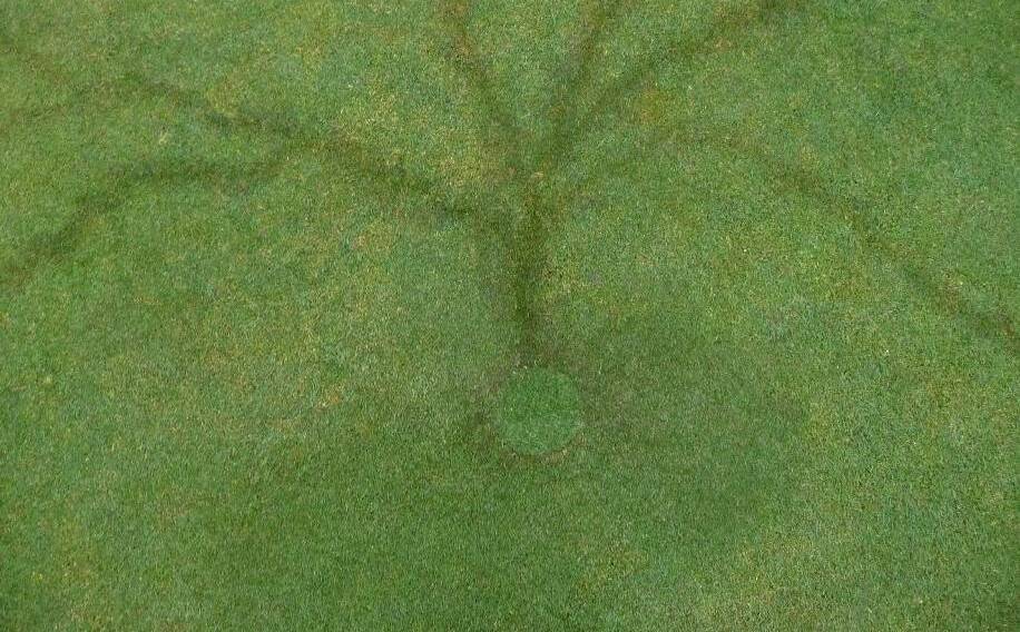 NAROOMA: A bolt of lightning left a remarkable feature on the second green at the Narooma Golf Course last Wednesday.
 