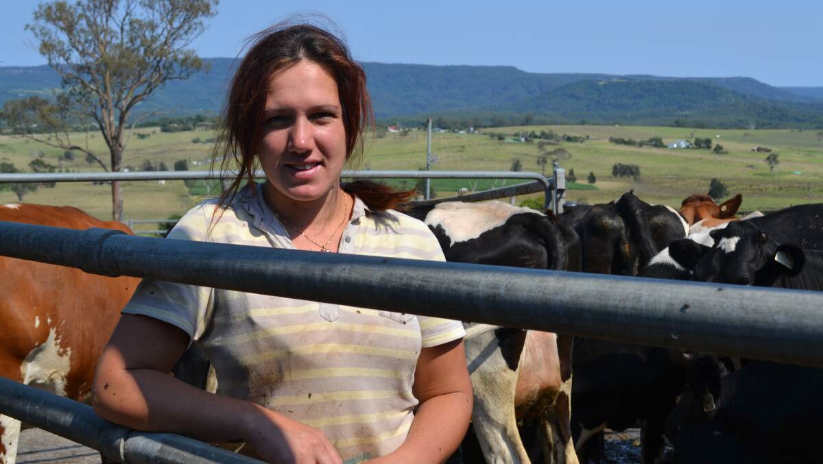 ULLADULLA: Dairy hand Jo McLaren at Milton’s Narrawilly farm that now supplies fresh milk to Parmalat Australia. 