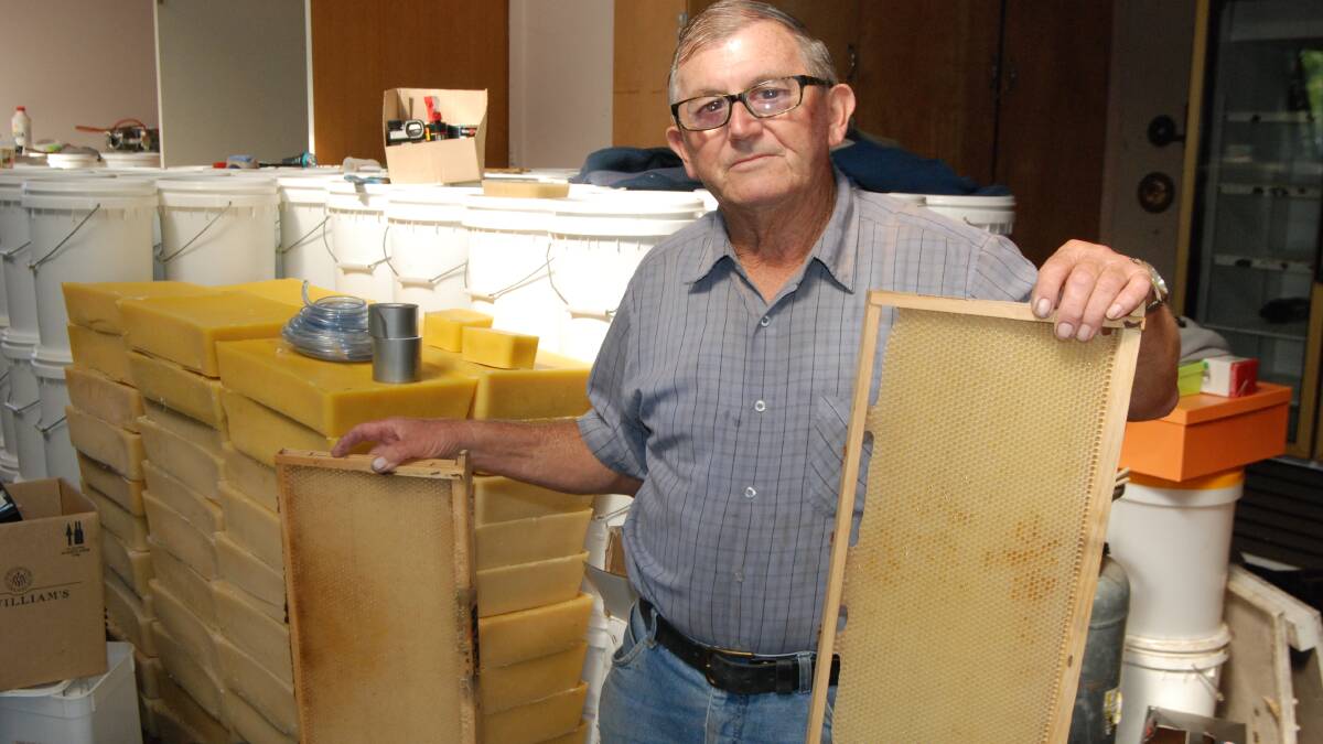 BRIGHT BUZZ: Moruya beekeeper Terry Bettini said the rain will provide a long-awaited boost to honey production.