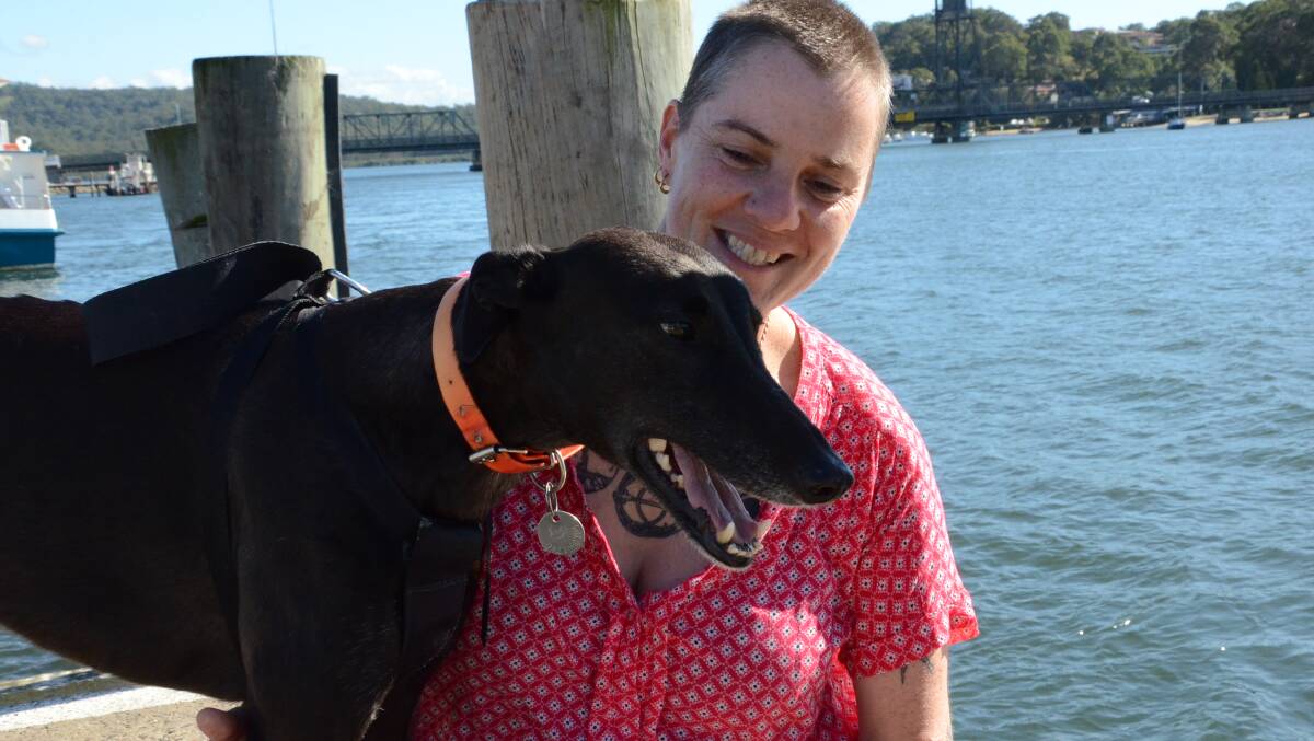 Greyhounds victims too, says advocate