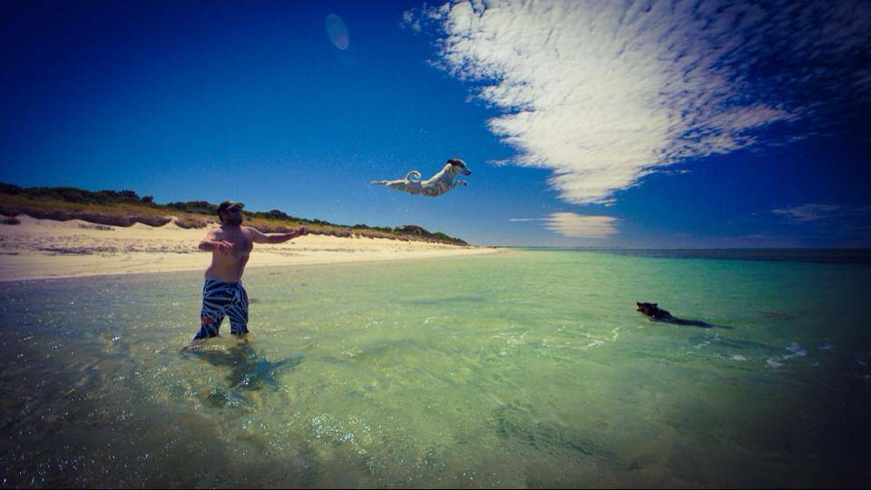 SOUTH AUSTRALIA: Heath Baker takes the dogs for a swim at Robe, but Spy prefers to fly. Photo: Kristal Tonkin.