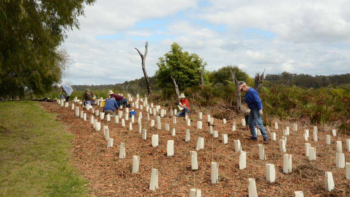 Help on hand for Landcare groups