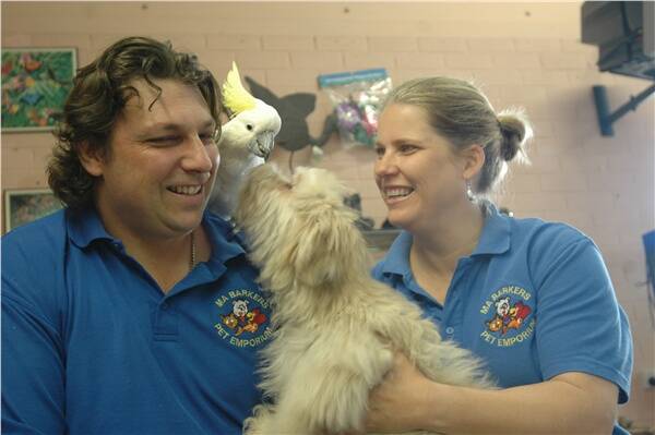 MOVING ON: Nick and Carolyn Harding with Ben the cockatoo and Fabio the Maltese-shih tzu cross.