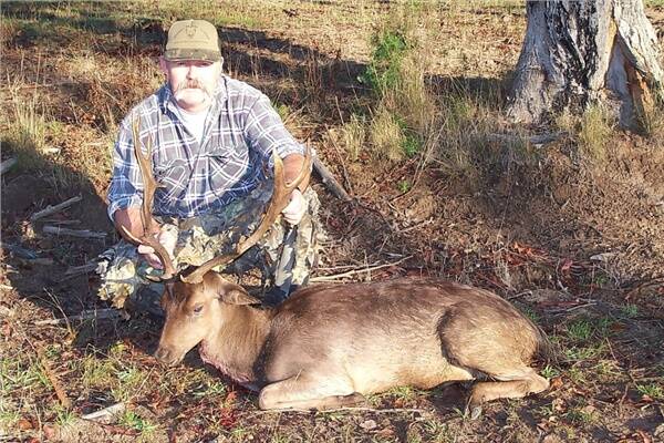 FERAL PROBLEM:  South Coast Hunters Club president Dan Field with a fallow deer that he shot in Eurobodalla State Forest.